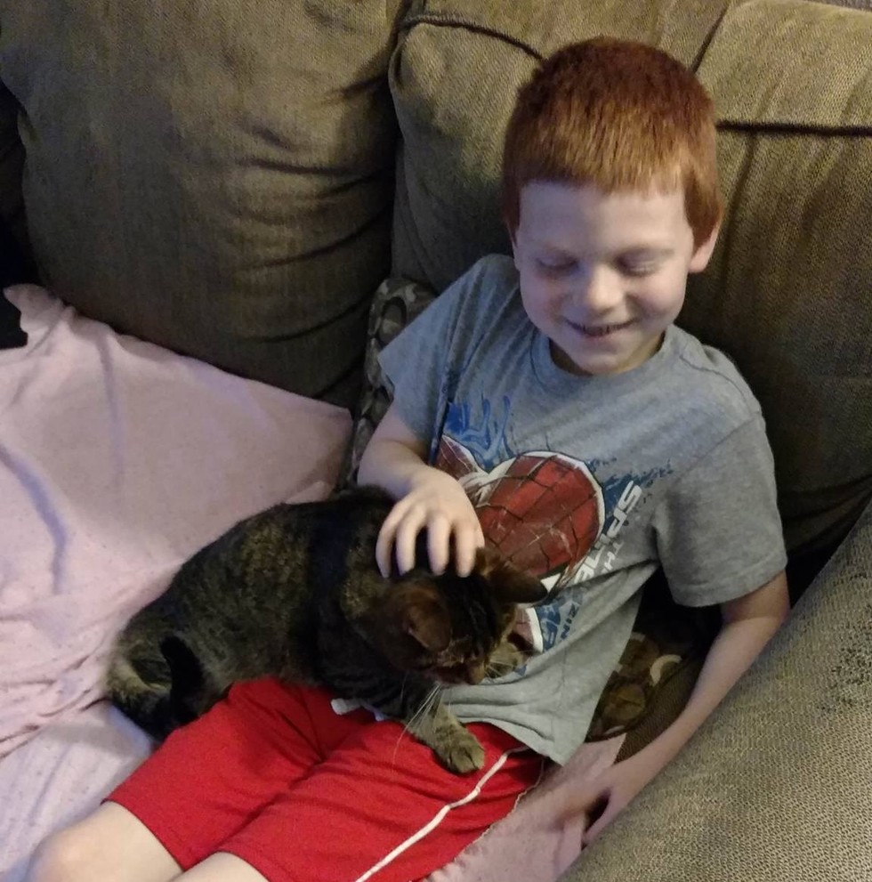 The Cat Who Fought Off A Dog To Save An Autistic Boy Just Won The