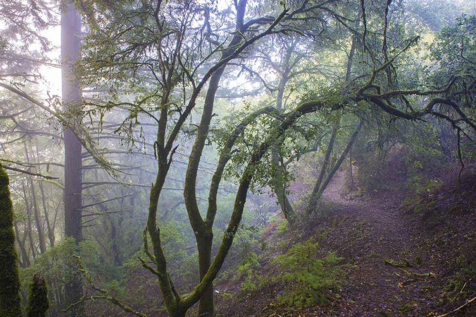 The 13 Best Places to Backpack in Northern California