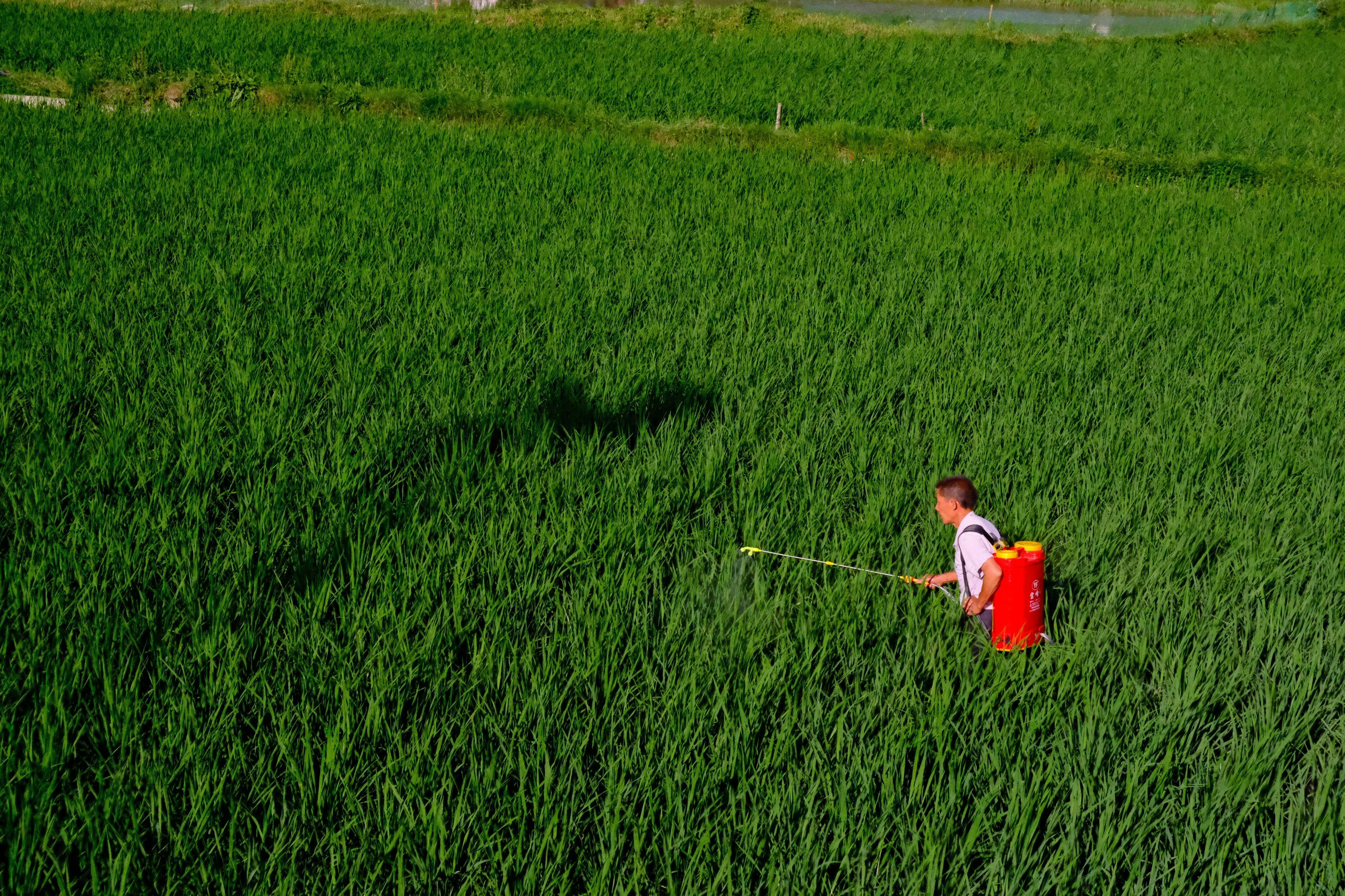 Another PFAS-containing pesticide headed for US registration