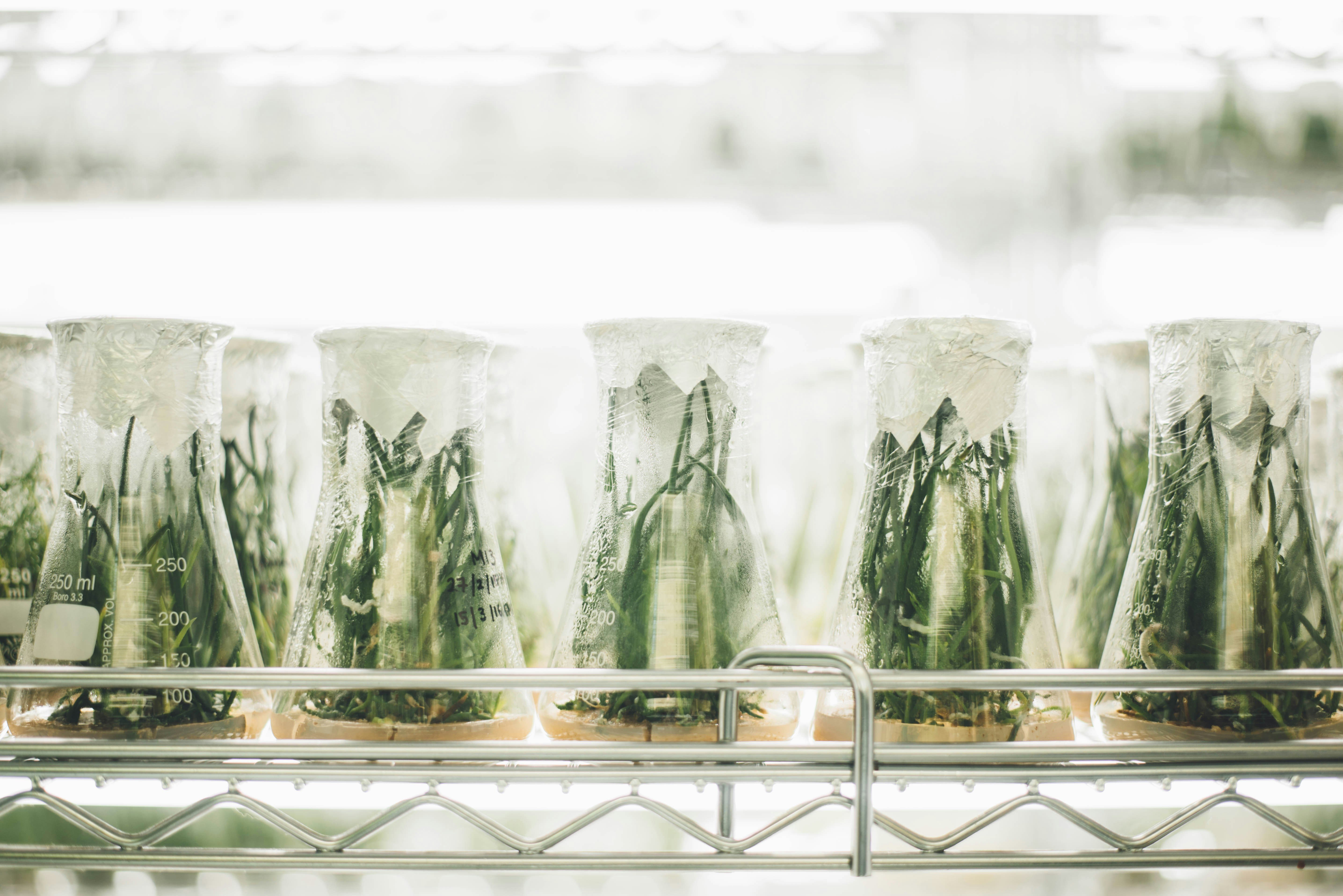 EPA winds down health and environment research as lab operations halt