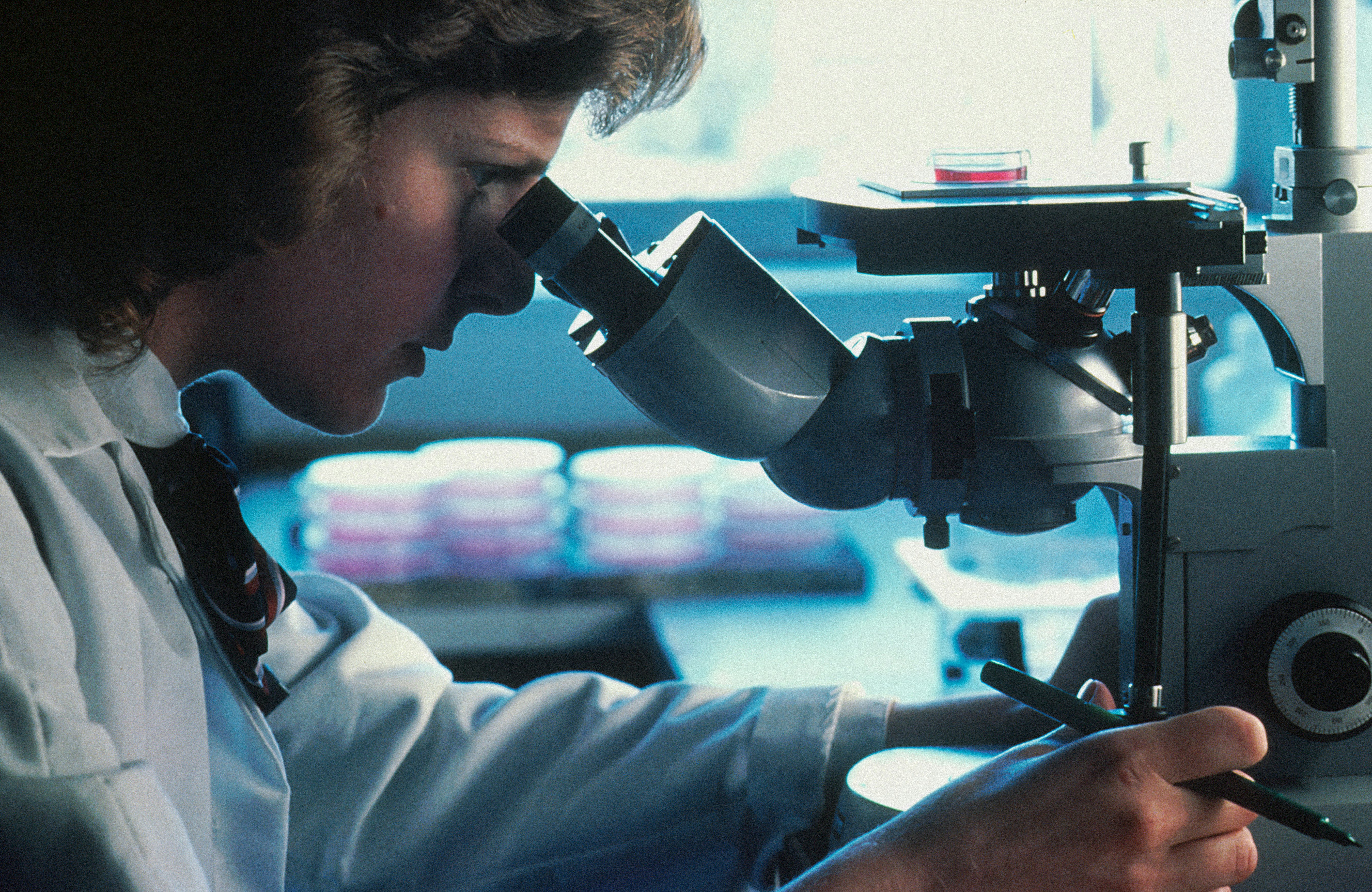 NSF grant funding falls by half as Trump administration slashes science budgets
