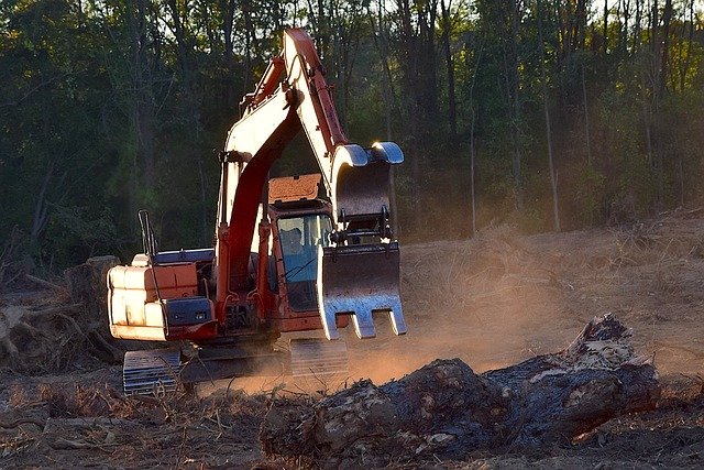 Brazil senate clears sweeping bill slashing environmental protections for industry projects