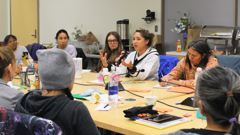 Webinar: Community engagement for breast cancer prevention