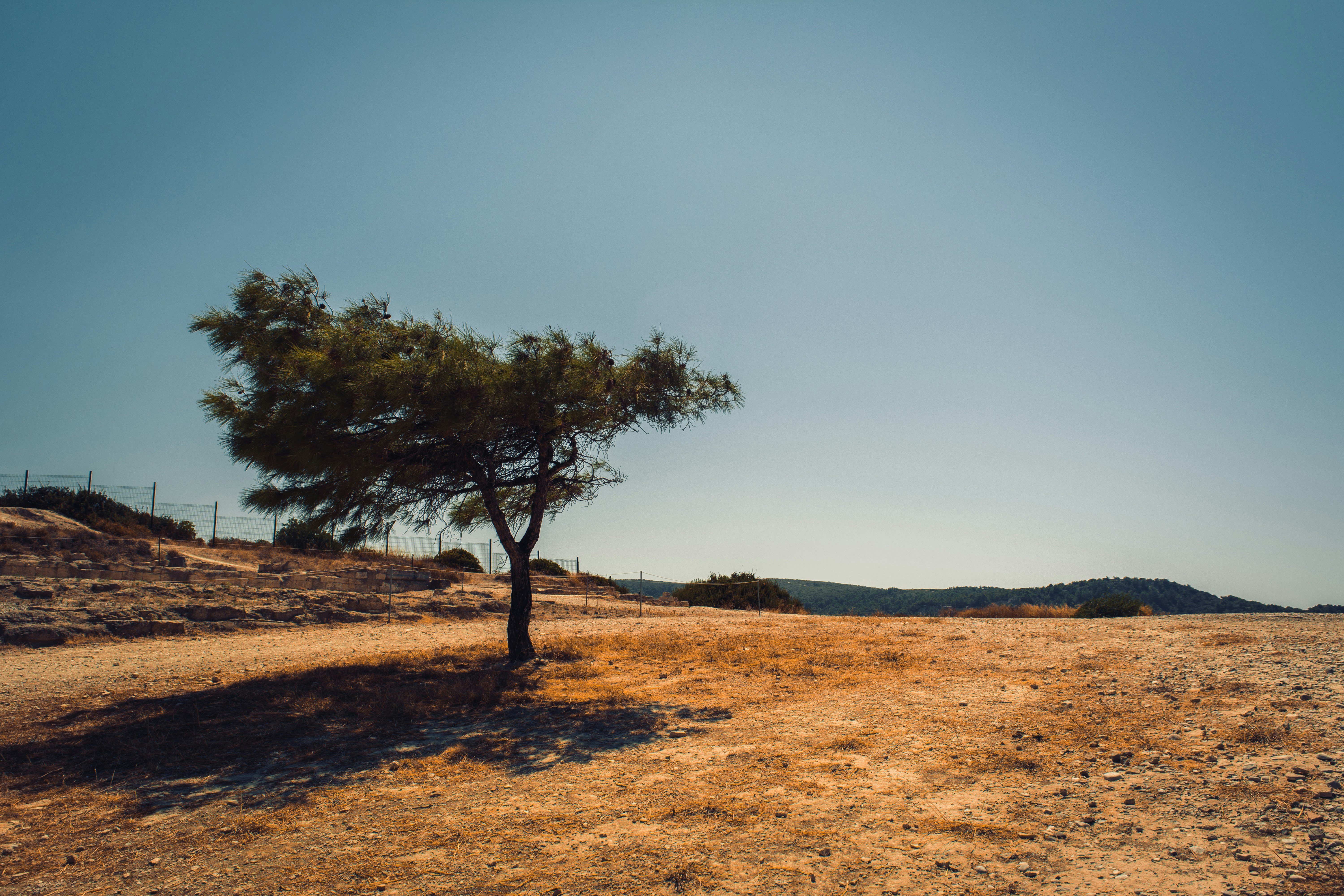 EU bank to invest billions in clean water and drought resilience across Europe