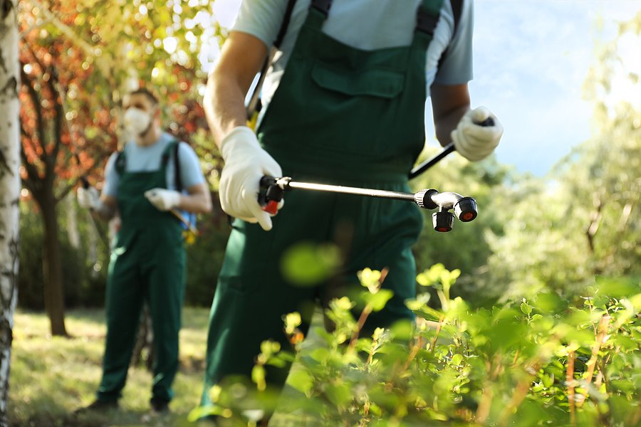 EU’s pesticide decision faces criticism as glyphosate is tied to worker’s rare cancer