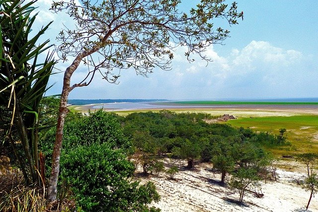 Brazil’s Amazon carbon deal faces legal threat over Indigenous rights and land use