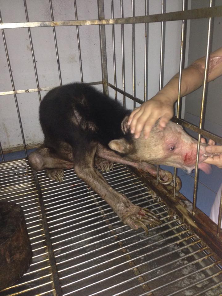 980x.jpg