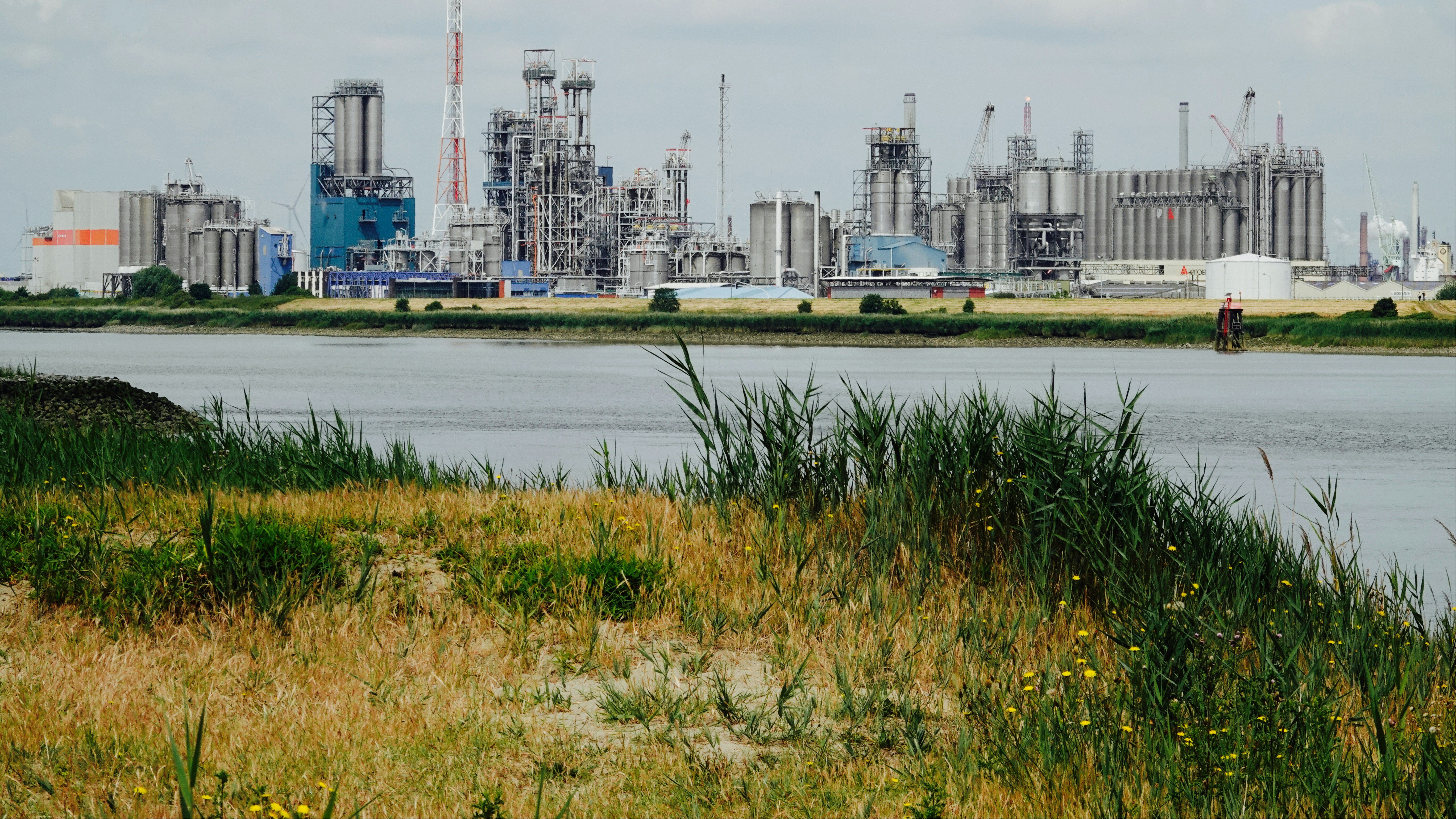 Federal rollbacks threaten health protections in Texas petrochemical communities