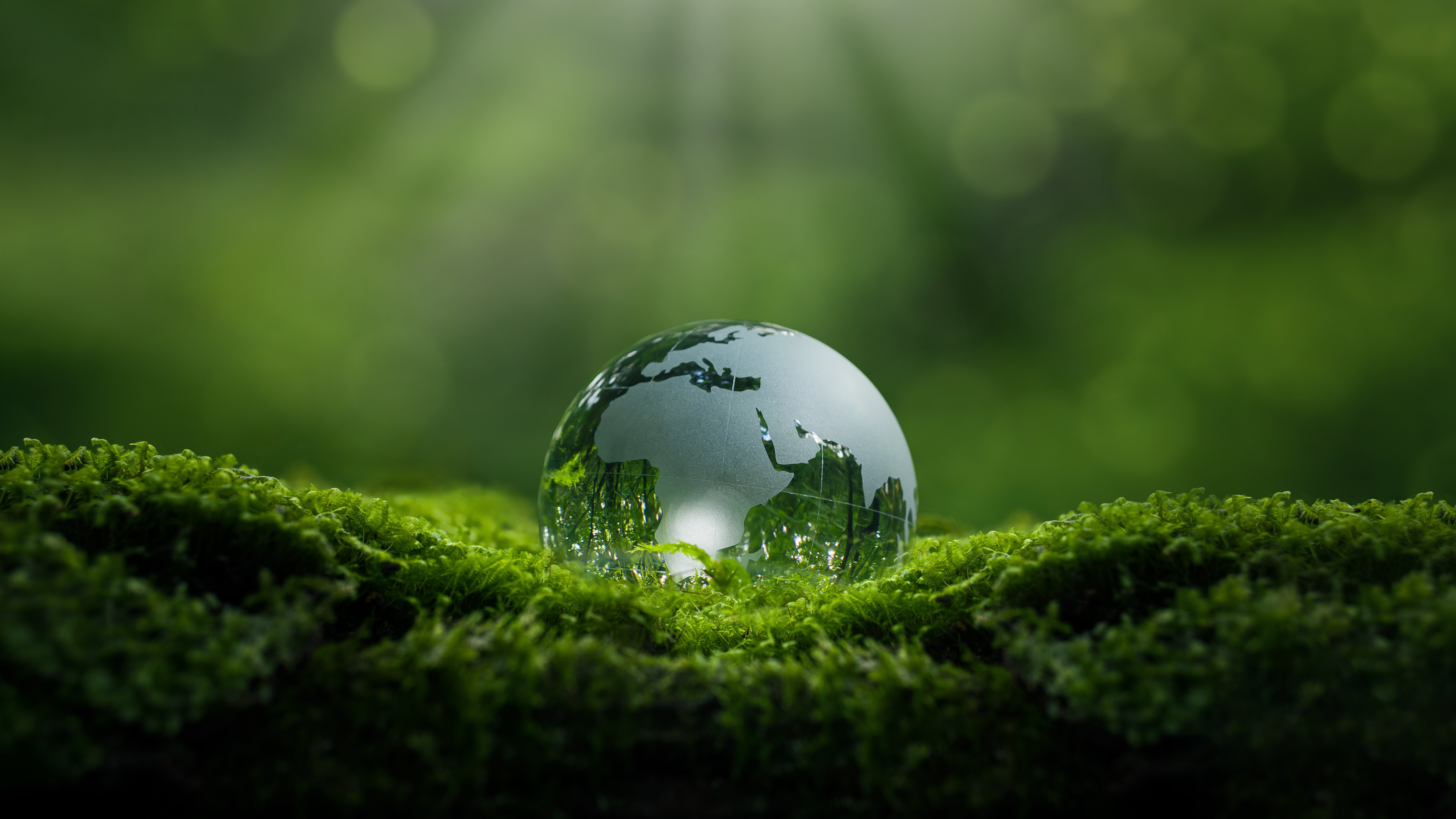 Consistent Sustainable Performance