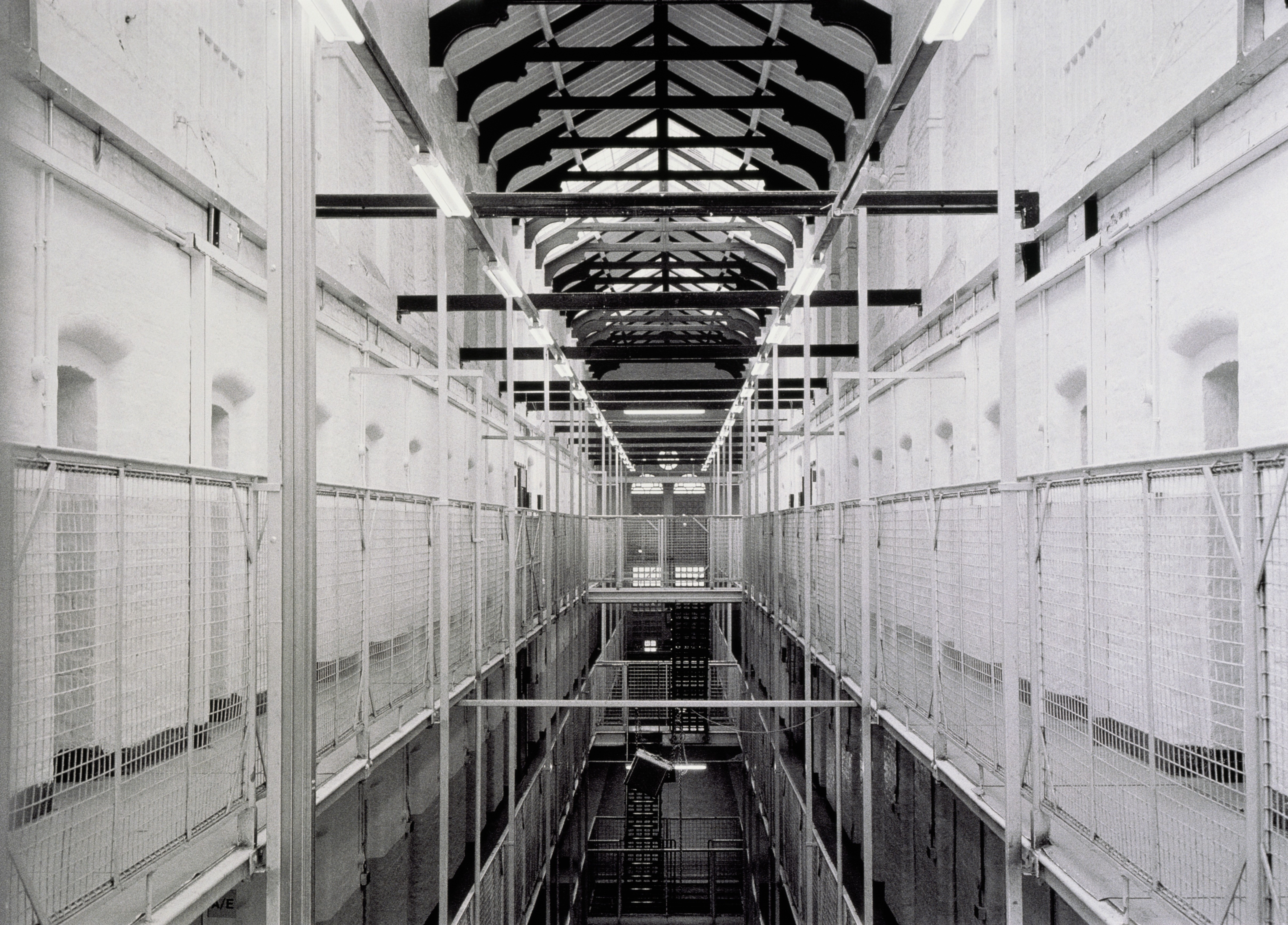Nearly 10,000 domestic abusers set to be released within three years under Labour's early prison release scheme as terrified survivors speak out