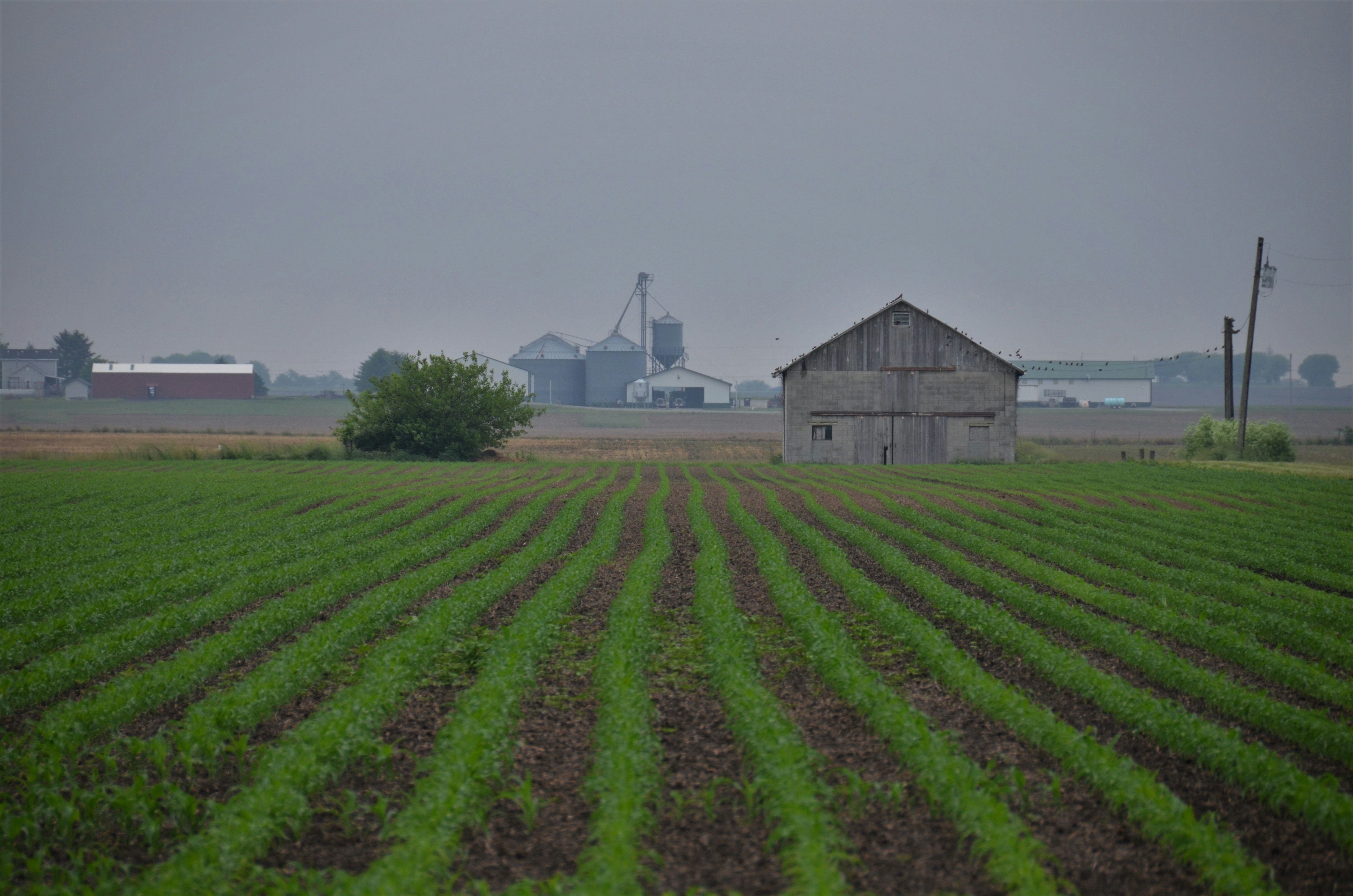 Trump cuts funding for PFAS farm contamination research, halting efforts to track chemicals in crops