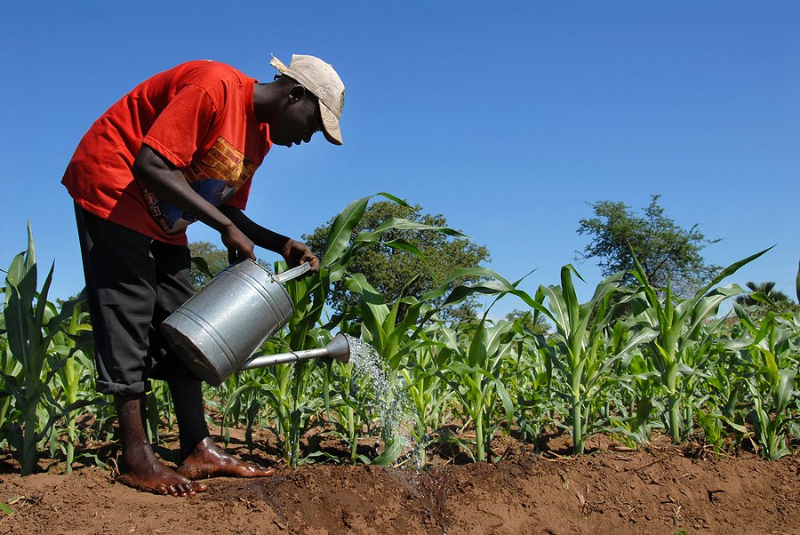 Ugandan farmers adopt new methods to fight deadly landslides and climate change