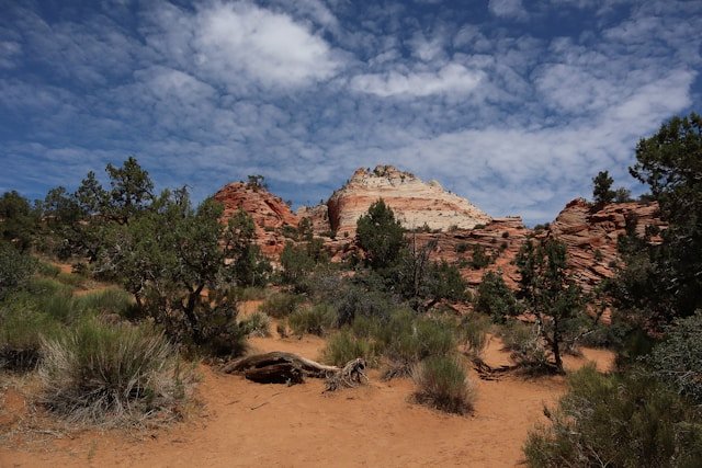 Former Interior official warns of public land rollbacks and launches advocacy group