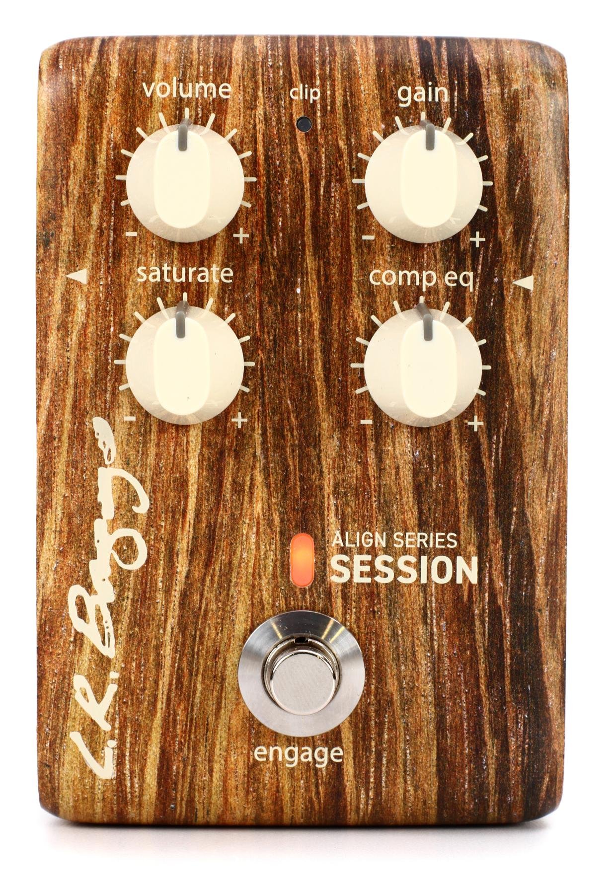 One-Stop Polished Acoustic Tone: L.R. Baggs Align Series Demo with Zach Wish