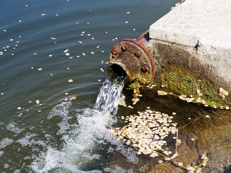 Perdue faces lawsuit over alleged illegal PFAS waste dumping in Maryland