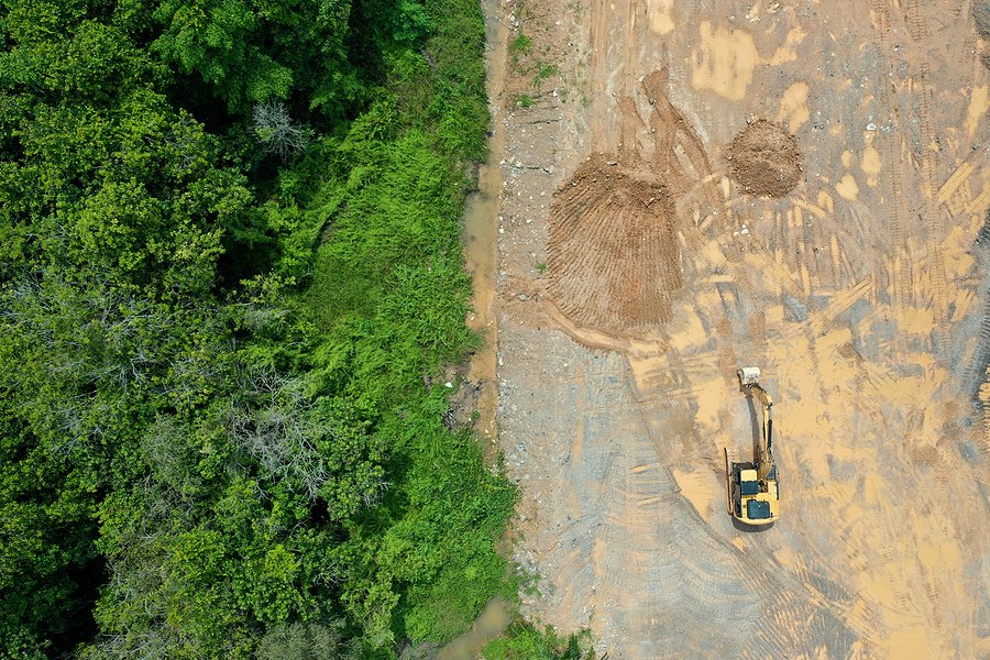 Amazon leaders unite to advance regional action on rainforest protection