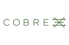 Cobre Limited