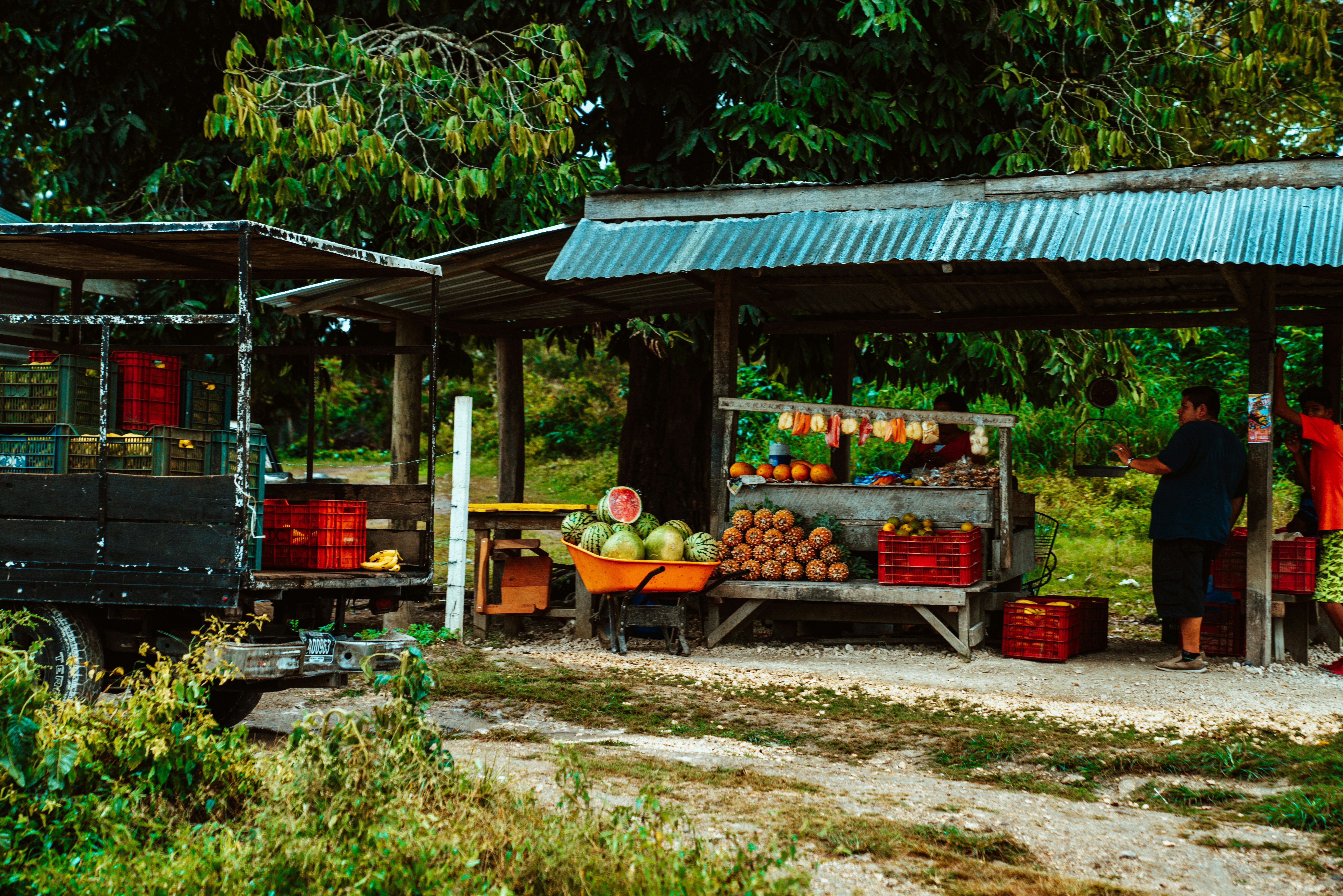 Mauritian women grow self-sufficient farming collective after oil spill upended fishing industry