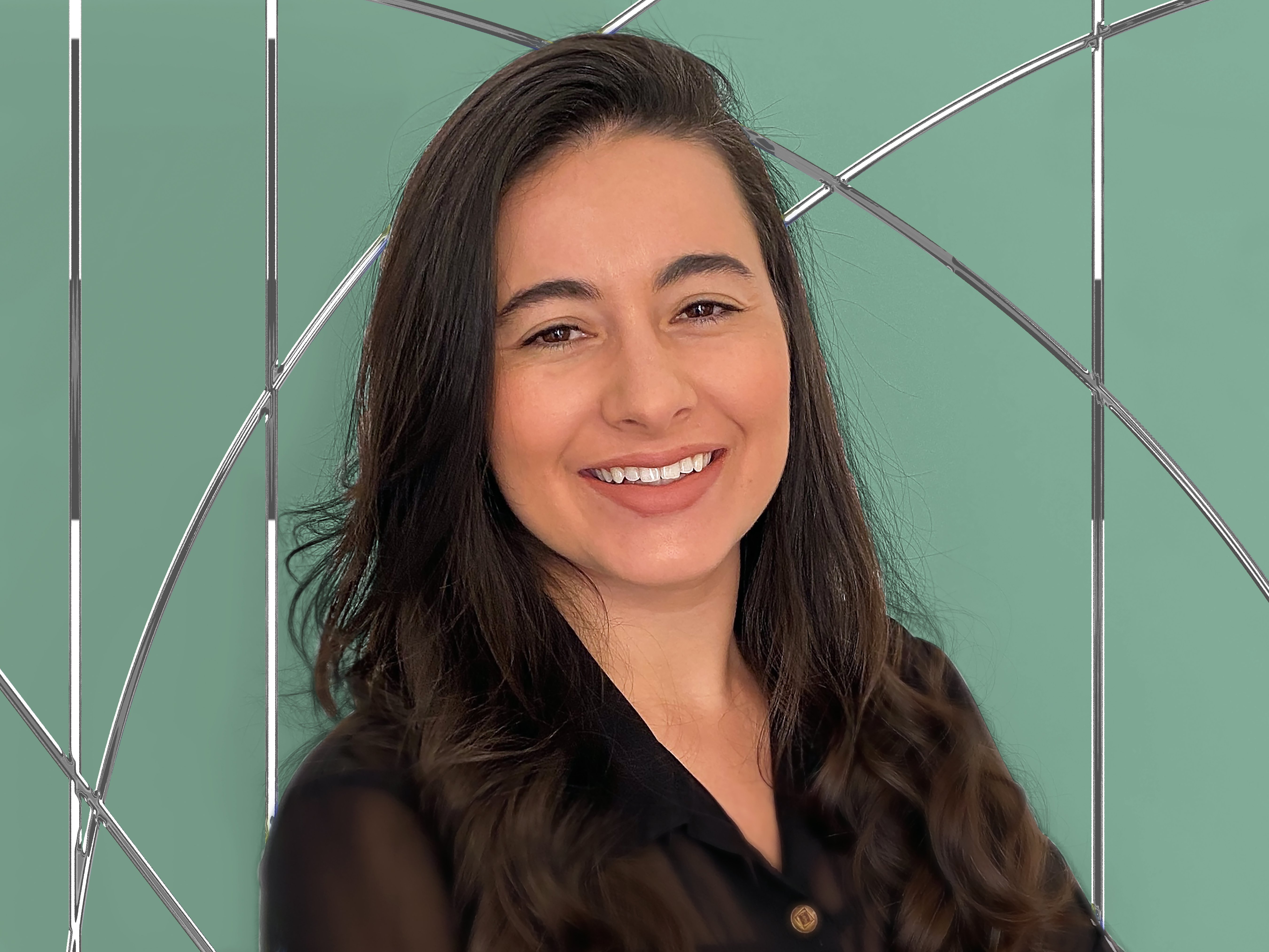 Is a billion dollars enough for Figure to make humanoids happen?