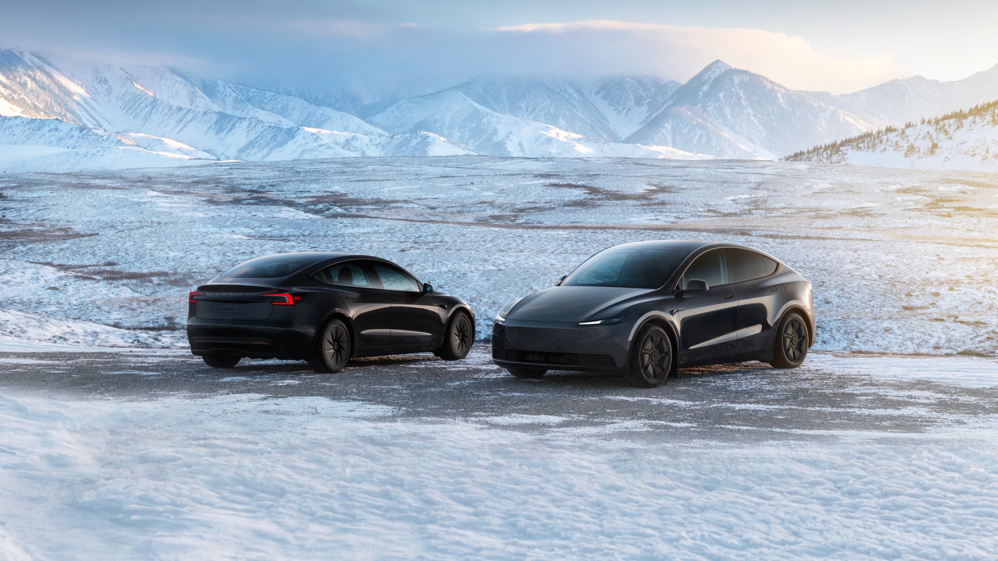 Mini, Ford, Tesla and more dominate UK's best-selling cars in June - full list