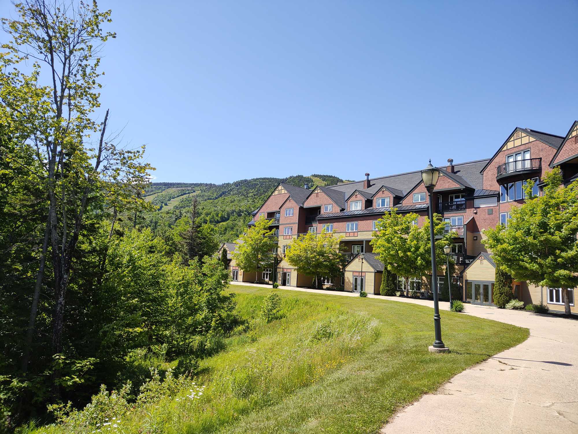 Gordon Research Conference: Environmental endocrine disruptors