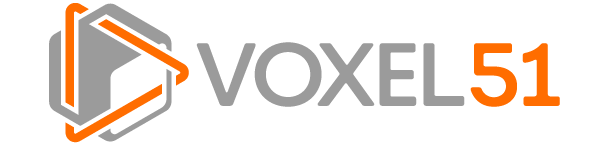 Why Vision AI Models Fail