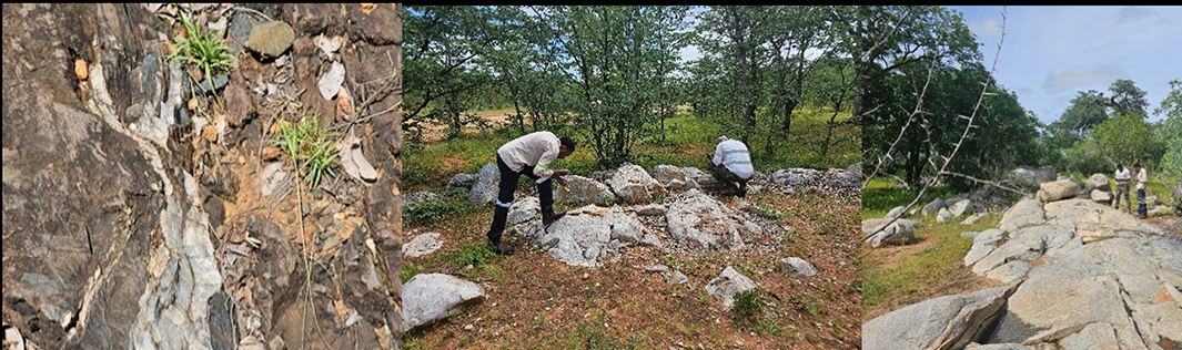 The One Bullion team examining rocks in a forested area.