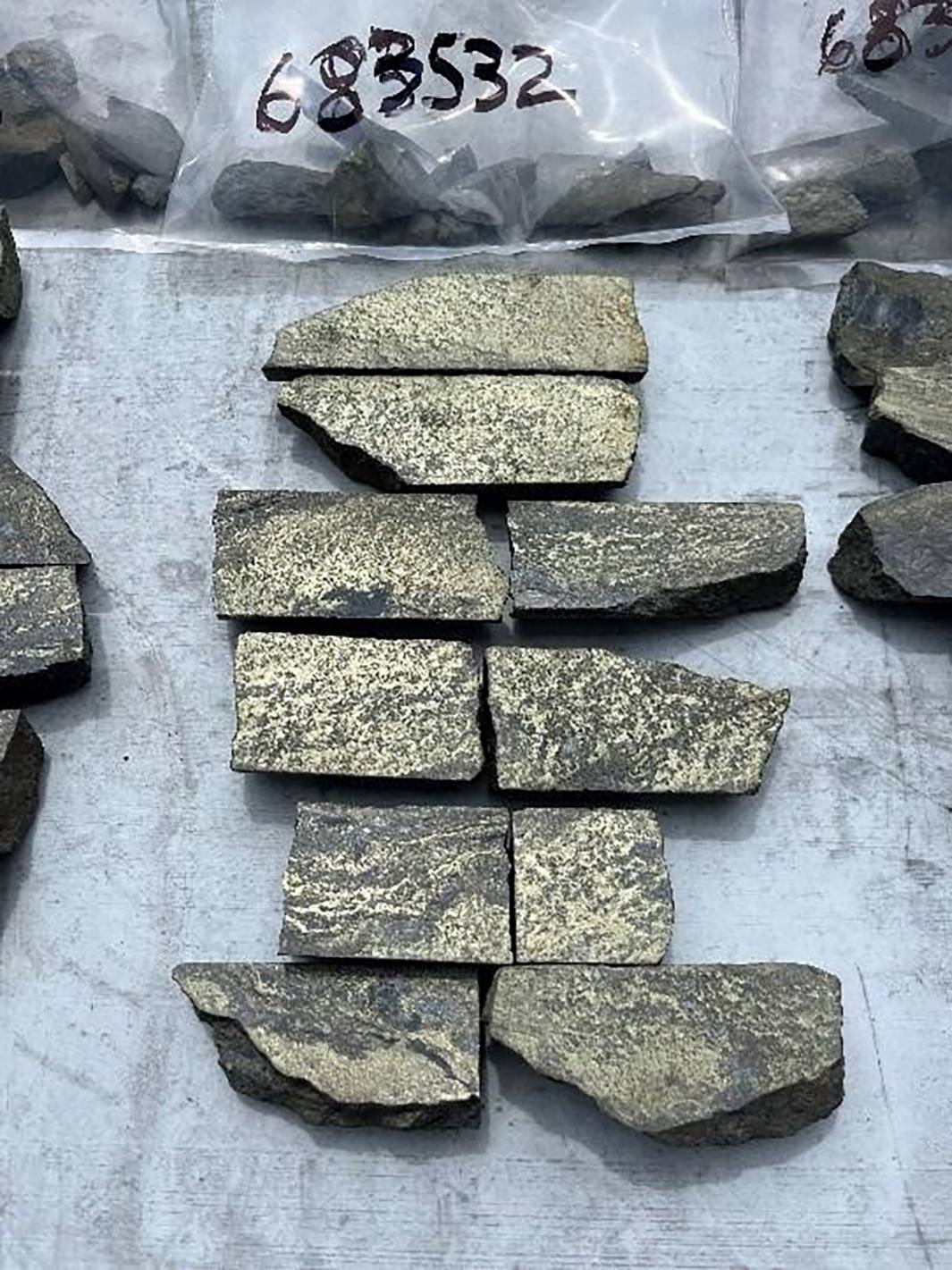 Nine Mile Metal's rock samples with textured surfaces arranged on a table, plastic bags in the background.