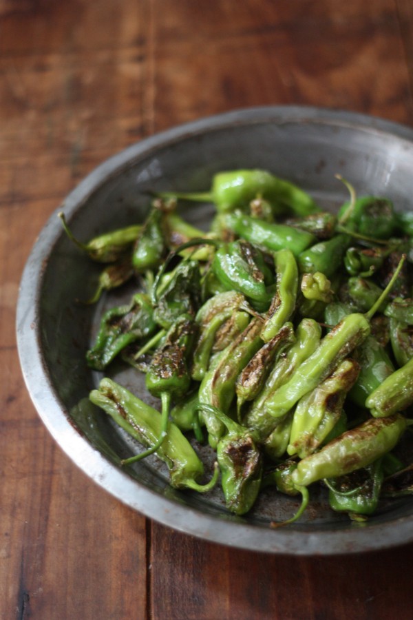 WineFriendly Appetizer Roasted Padron and Shishito Peppers Tasting