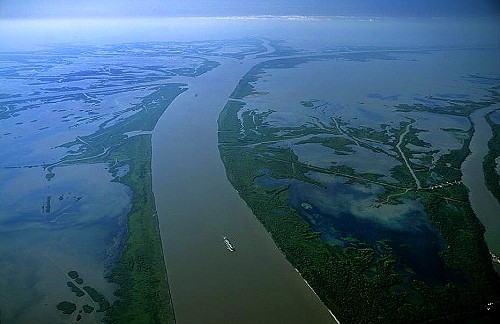 New Website Focuses On Mississippi River Delta Restoration EcoWatch   980x 