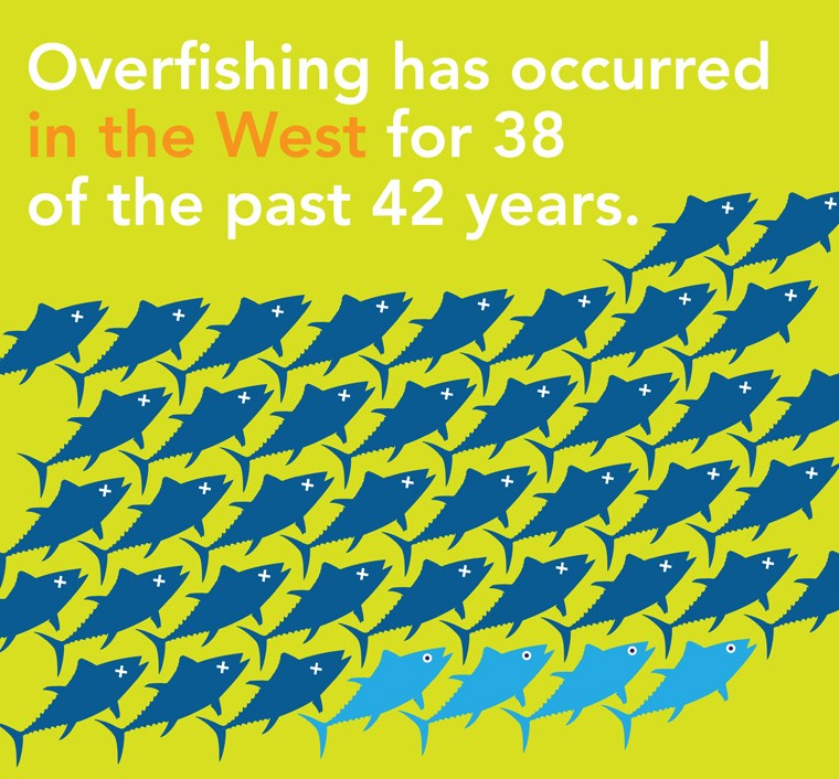 Charting the Decline of Bluefin Tuna - EcoWatch