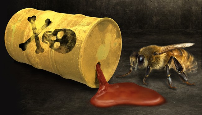 best chemical to kill bees