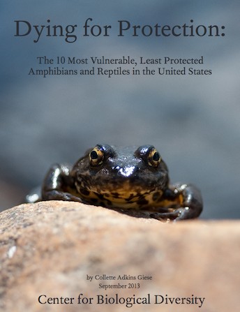Amphibians and <a href=