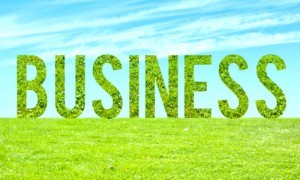 business ideas to solve environmental problems
