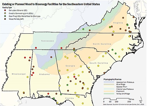 Rising Demand for Southeast Trees Endangers U.S. Wildlife and ...