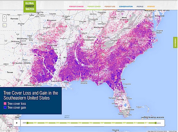 9 Maps That Analyze the World's Forests - EcoWatch