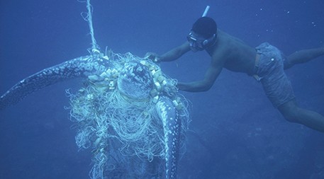 Bye Bye Bycatch? Smart Nets That Save Fish - EcoWatch