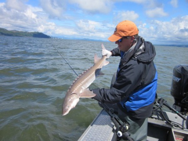 Alarming Levels of Cancer-Causing Chemicals Found in Columbia River