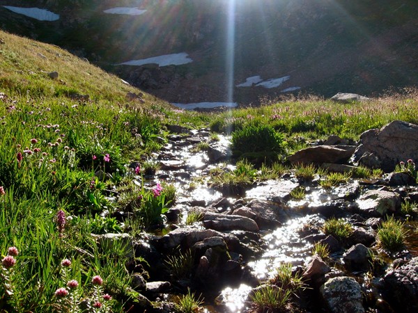 Essay on living with nature