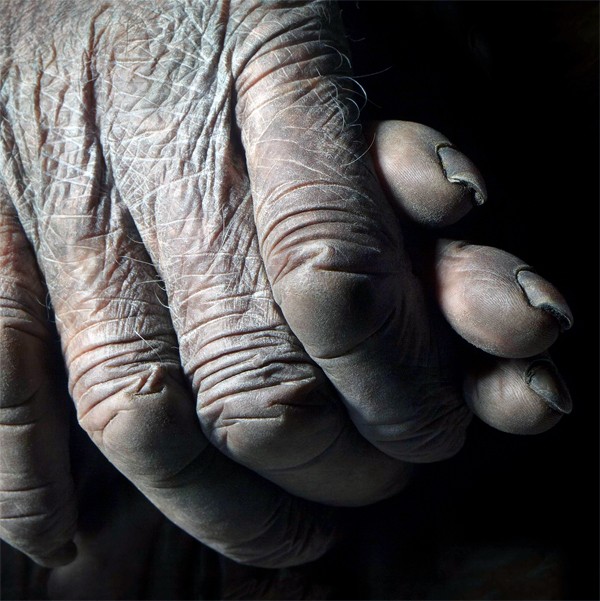 human hands vs chimpanzee hand