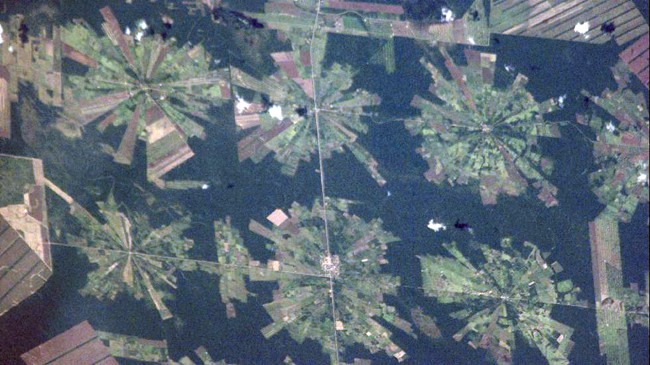 6 Striking Aerial Images Show How Deforestation Has Altered the Earth ...