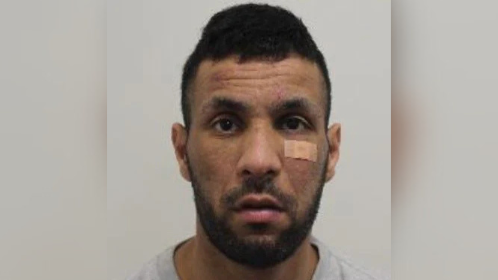 Thief who snatched handbag in London pub stunned after finding £2m Fabergé egg inside