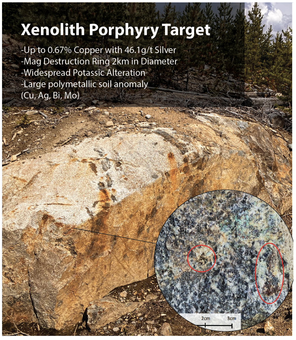 Rock surface labeled “Xenolith Porphyry Target” with mineral composition details at Flow Metals' New Brenda project