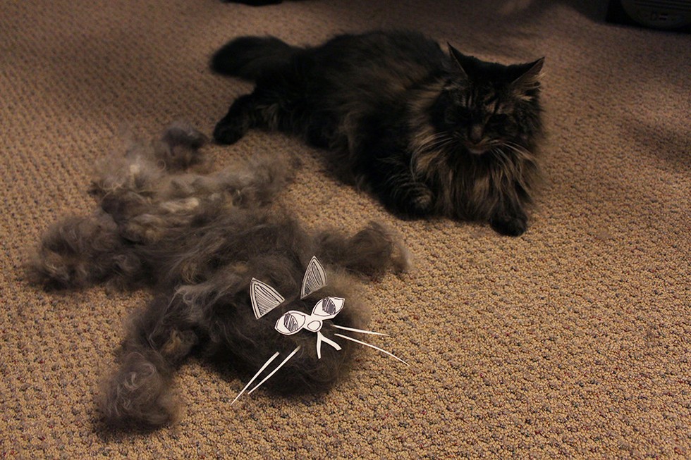 13 Cats Who Had Enough Hair To Create A Whole 'Nother Cat