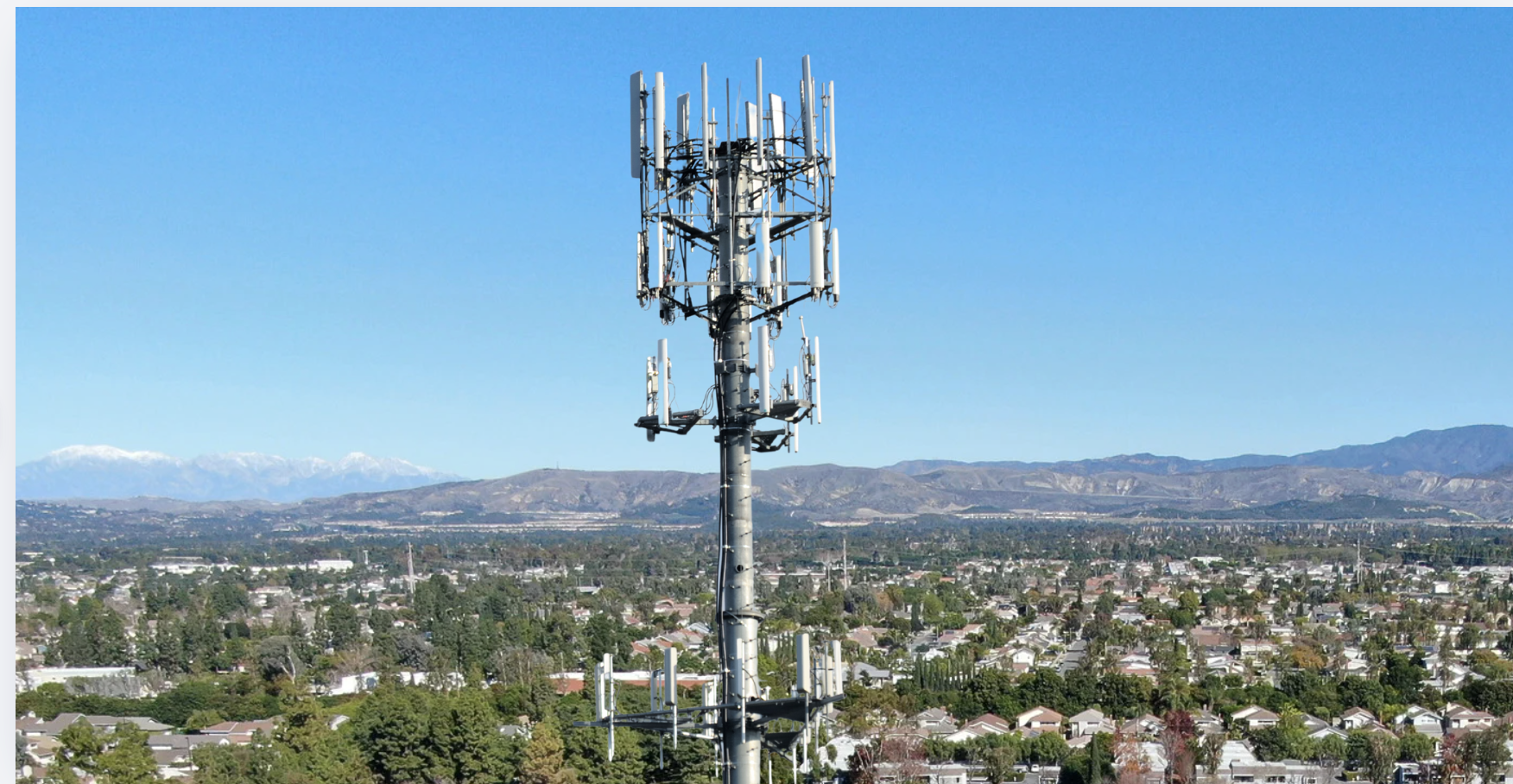 Study links cell tower and cell phone radiation to changes in blood cells tied to immune health