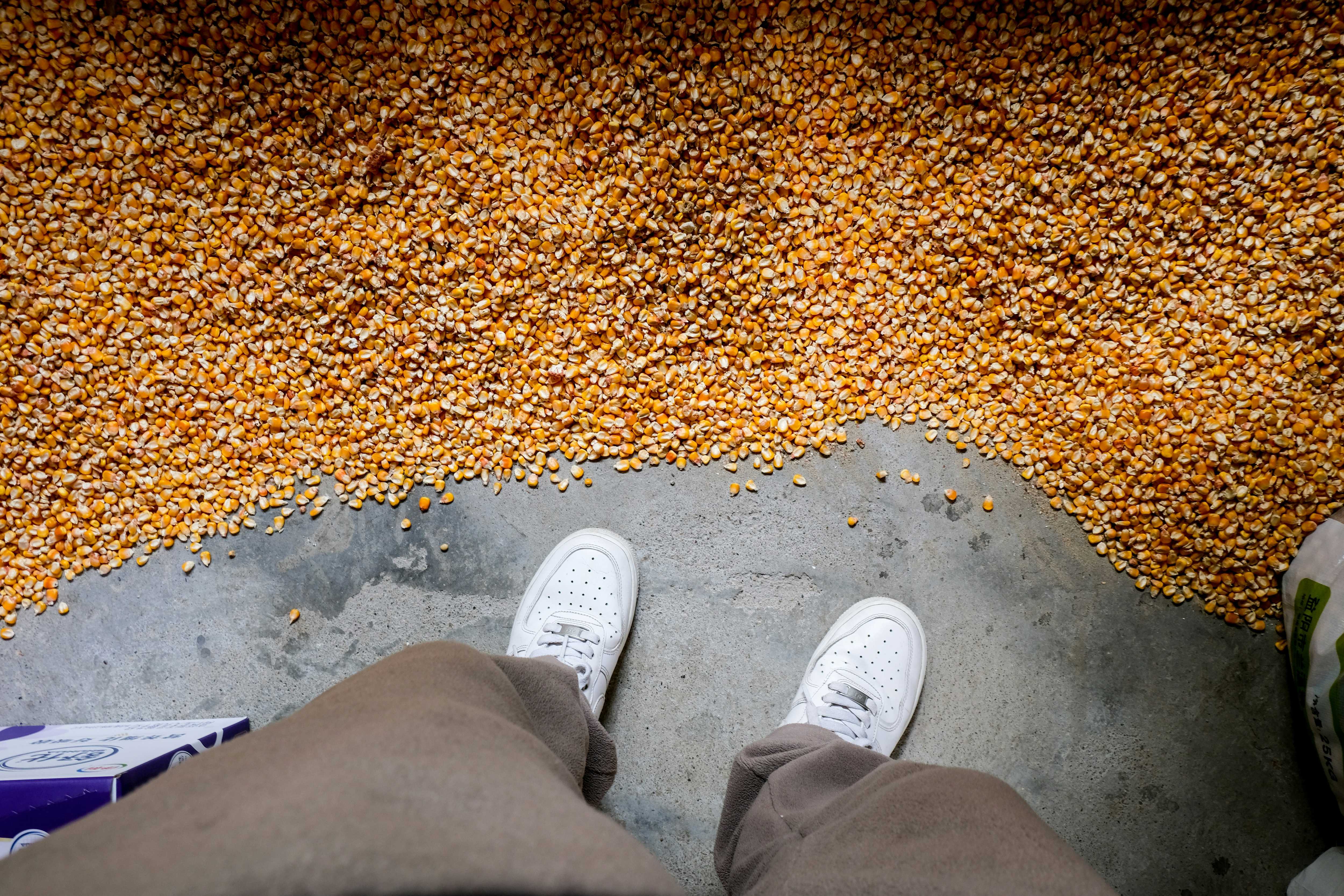 Webinar: New science on neonicotinoids: reproductive & neurodevelopmental health effects