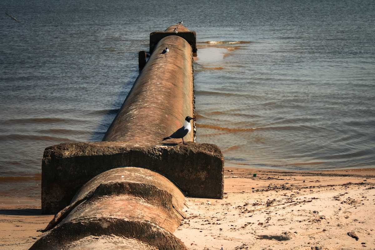 Plan to reinforce sewer pipe was delayed for years before&hellip;