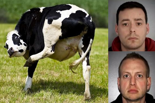 Man arrested for having sex with a deer — pic 12