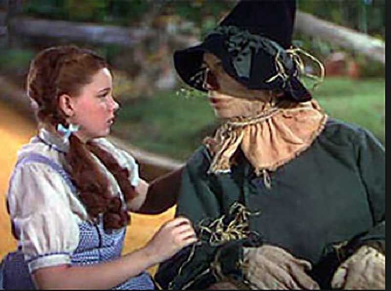 Secrets And Photos From The Yellow Brick Road As The Wizard Of Oz Turns ...