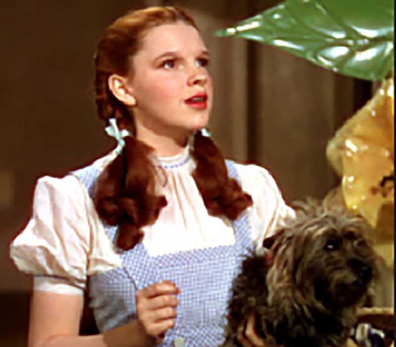 Secrets And Photos From The Yellow Brick Road As The Wizard Of Oz Turns ...